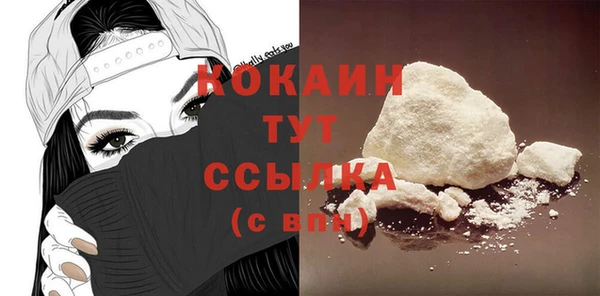 шишки Горно-Алтайск