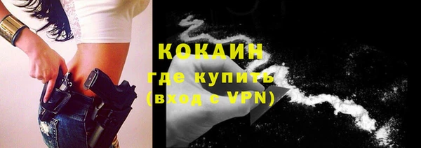 дживик Горняк