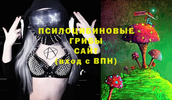 дживик Вязники